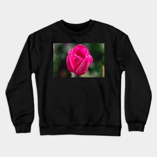 Pink tulip flower Crewneck Sweatshirt